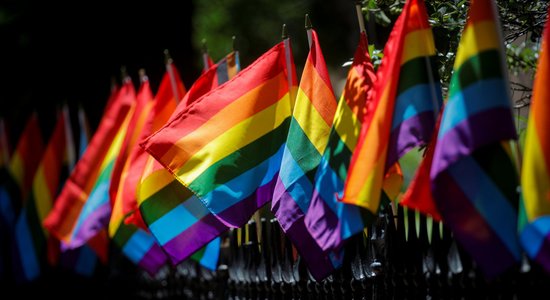 ФРГ готова чаще давать убежище представителям ЛГБТ из России
