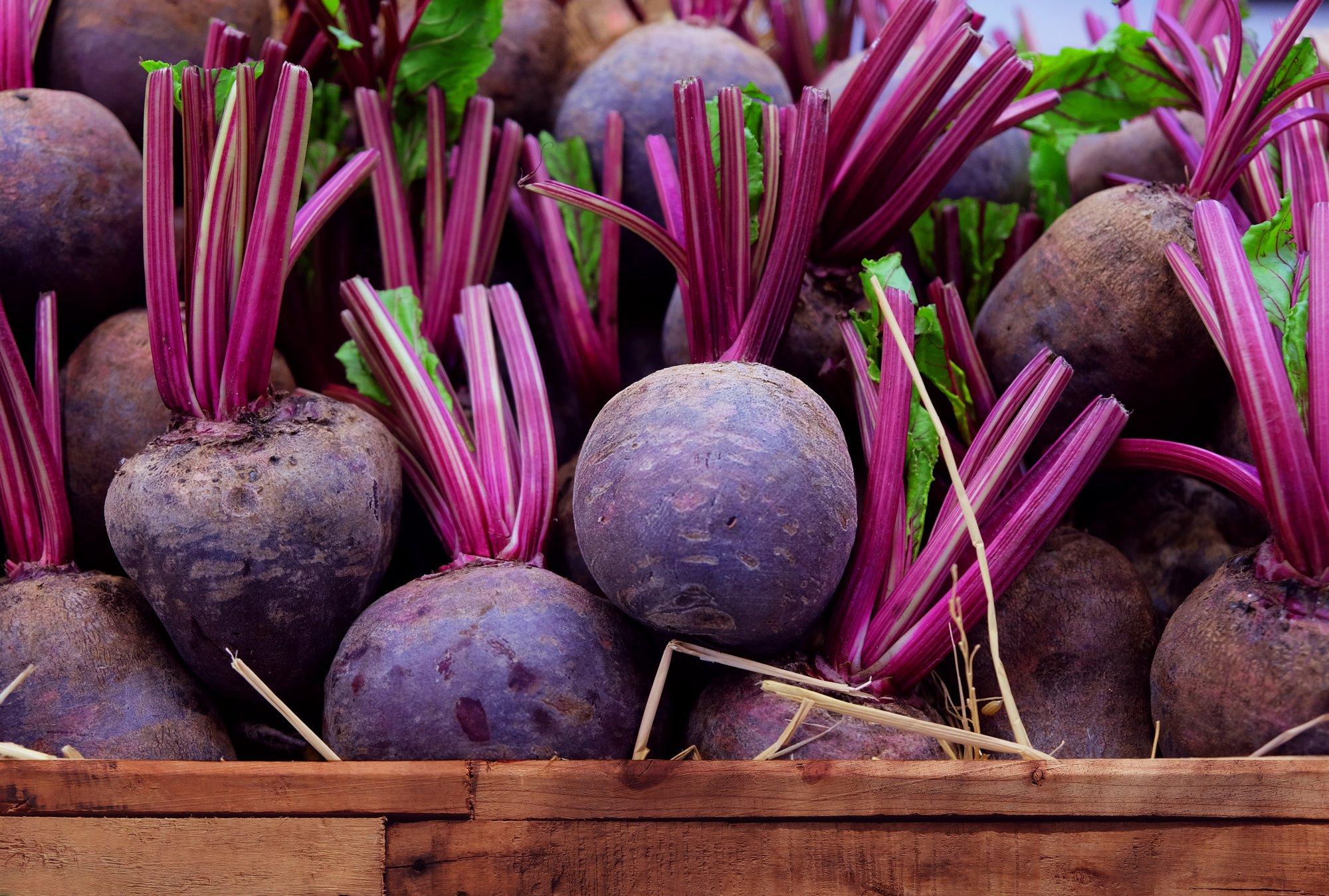 Лучшие сорта свеклы для хранения на зиму. Свекла beetroot. Свекла столовая. Свекла на грядке. Свекла столовая свежая.