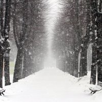 Снег сильно затрудняет движение транспорта в столице и на дорогах Латвии