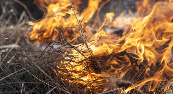 Sestdien Jelgavas novadā dzēsts kūlas ugunsgrēks 1000 kvadrātmetru platībā
