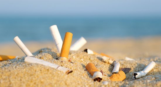 Опрос: четверть курильщиков выбрасывают окурки где попало