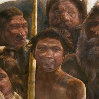 Скрещивание Homo sapiens и неандертальцев сдвинули на десятки тысяч лет назад