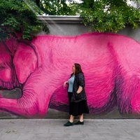 Rozā ziloņus meklējot: ideja aizraujošām brīvdienām Kauņā