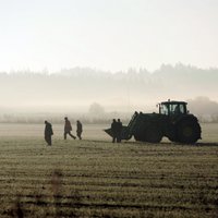 Sausums pārņem Latviju: 'Zemnieku saeima' aicina izsludināt ārkārtas situāciju lauksaimniecībā