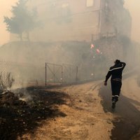 Alžīrijā mežu ugunsgrēkos 42 bojāgājušie