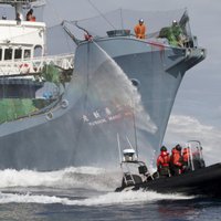 Austrālija ar izlūklidmašīnu cer novērst konfliktus vaļu medību laikā