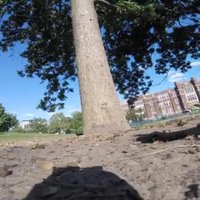 Video: Žiperīga vāvere nočiepj 'GoPro' kameru un nofilmē dzīvi kokos