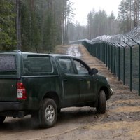 Raidījums: Uz Krievijas robežas nelikumīgi izcirsti desmitiem hektāru meža
