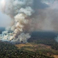 Amazones lietusmežos izcēlušies jauni ugunsgrēki; dzēšanas darbos iesaistās armija