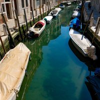 Foto: 'Covid-19' dēļ Venēcijas kanālos ūdens kļūst neparasti dzidrs un parādās zivis
