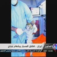 Иран запустил ракету с обезьяной на борту