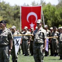 Турция поднимает вопрос операции НАТО против курдов и Исламского государства