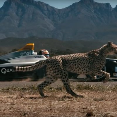 Video: 'Formula E' bolīds pret gepardu – kurš ātrāks