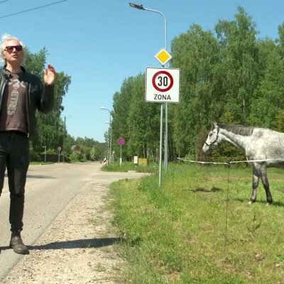 'Zebra': Latvijā zīmēm ticēt nevar – Saulkrastos tās sastādītas bez kādas jēgas