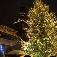 ФОТО. В Риге зажглись рождественские елки на Домской и Ратушной площадях