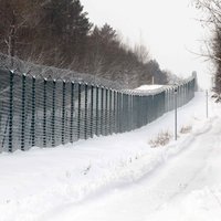 В России задержаны нелегалы, пересекшие границу из Эстонии: среди нарушителей — негражданка Латвии