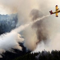 Из-за лесных пожаров в Калифорнии эвакуировали 480 домов
