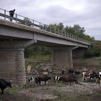 Dženovas traģēdija: Bulgārija renovēs vairāk nekā 200 tiltus