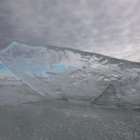 Вода в Лиелупе за сутки поднялась на 61 см, образовались ледяные заторы