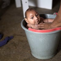 Zikas vīruss bīstami izplešas Kolumbijā: to konstatē jau 3100 grūtniecēm