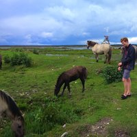 Vienas dienas maršruts gar Kurzemes jūrmalu: draudzīgi dzīvnieki, brīnišķīgi skati un dabas takas