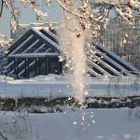 Foto: Ziemas pasaka Salaspils botāniskajā dārzā
