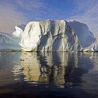 Latviete sociālajos tīklos lūdz naudu ceļojumam uz Antarktīdu