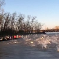 Video: ASV ezerā bars karpu uzbrūk airētājiem