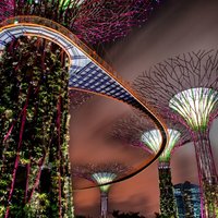 Neticams skaistums: futūristiskie līča dārzi Singapūrā