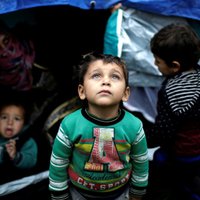 ООН просит 3,7 миллиарда евро на помощь сирийским беженцам