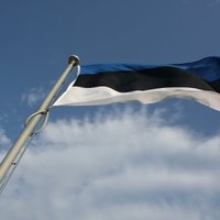 Российский блогер-эмигрант просит убежища в Эстонии