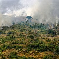 G7 valstis finansēs lidmašīnas ugunsgrēku dzēšanai Amazones lietusmežos