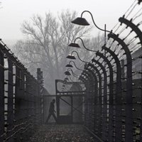 Пережившая Освенцим: остерегайтесь пропаганды ненависти