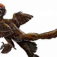 Опровергнут один из главных мифов о динозаврах