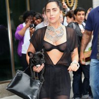 Lady Gaga zibina krūtsgalus un izskūtu pakausi