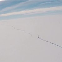 Video: No Antarktīdas atdalīsies visu laiku lielākais reģistrētais aisbergs