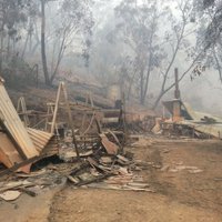 Латвия выделит 50 000 евро на помощь пострадавшим от пожаров австралийцам
