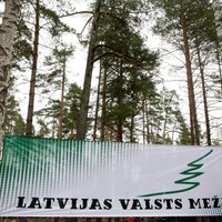 'Latvijas valsts meži' piecos gados izstrādās mežus kopumā par 88 miljoniem eiro