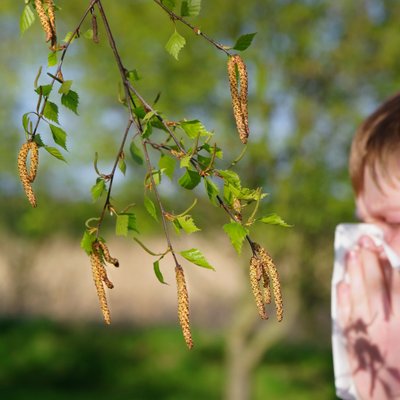 Как бороться с аллергией на пыльцу: 12 рекомендаций