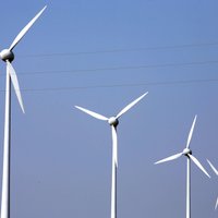 Saņemts pozitīvs vides atzinums Dobeles un Tukuma vēja parkam, potenciāli var būvēt 35 vēja turbīnas