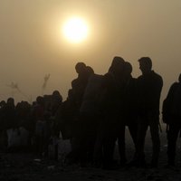 Igaunijā ierodas pirmie septiņi patvēruma meklētāji no Grieķijas