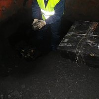 В поезде из Полоцка найдена контрабанда: сигареты спрятали под углем