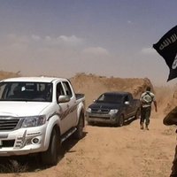 Разведка сообщила о казни боевиками ИГ почти 300 человек в Мосуле