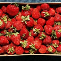 Эксперты: снижать НДС до 5% можно только на местные овощи, фрукты и ягоды