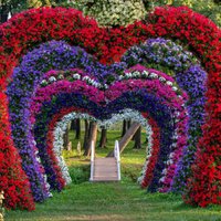 ФОТО. 1 июля в Пакруойской усадьбе откроется летний Фестиваль цветов, искусства и любви