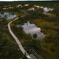 ФОТО. Лучшее место для осенних прогулок: Тропа Большого Кемерского болота