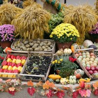 Sankciju karš: Krievija aizliedz Polijas augļu un dārzeņu importu
