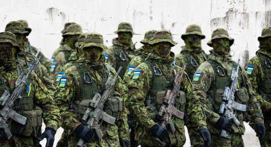 Оборонный потенциал Эстонии: кто в случае войны будет защищать страну?