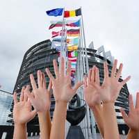 LTV: статистике по евродепутатам доверять нельзя