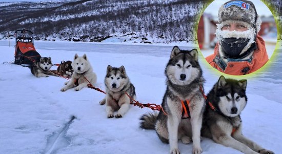 Video: Latviete ar suņu pajūgu aiz polārā loka pieveic 600 kilometru